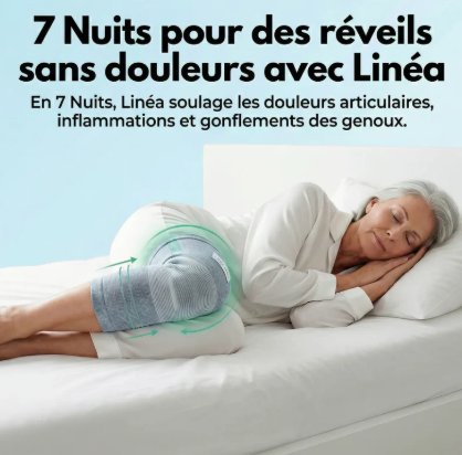 Genouillères de maintien en bambou